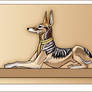 Anubis jackal