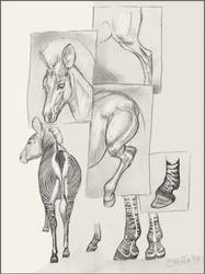 Zeebsketches