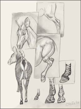 Zeebsketches