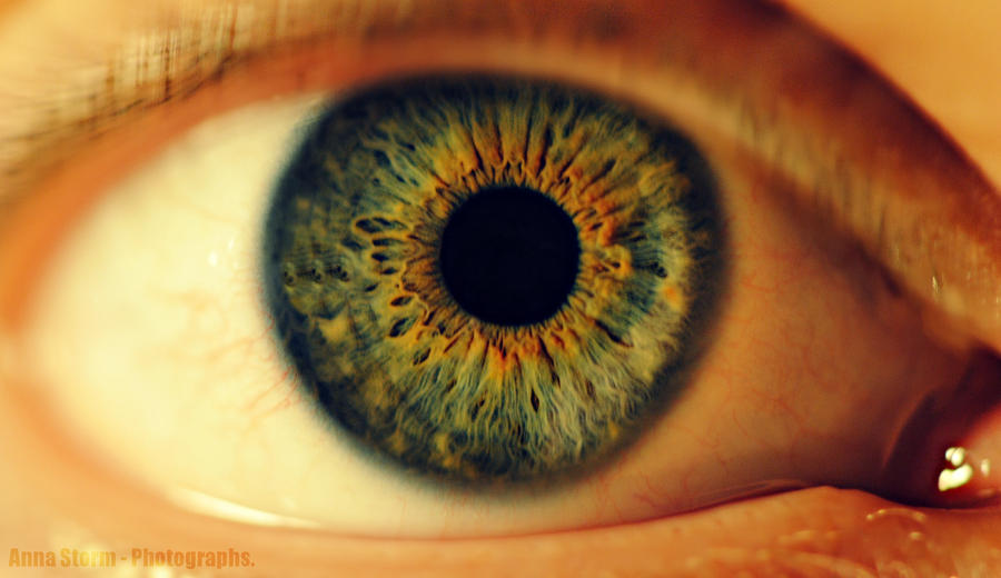 Eye