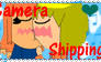 Support iCameraShipping