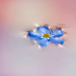 Silence by cloduy