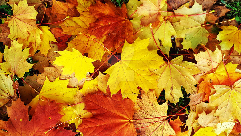 Fall Wallpaper Deviantart Fall by DarkSidePrincess95 on DeviantArt