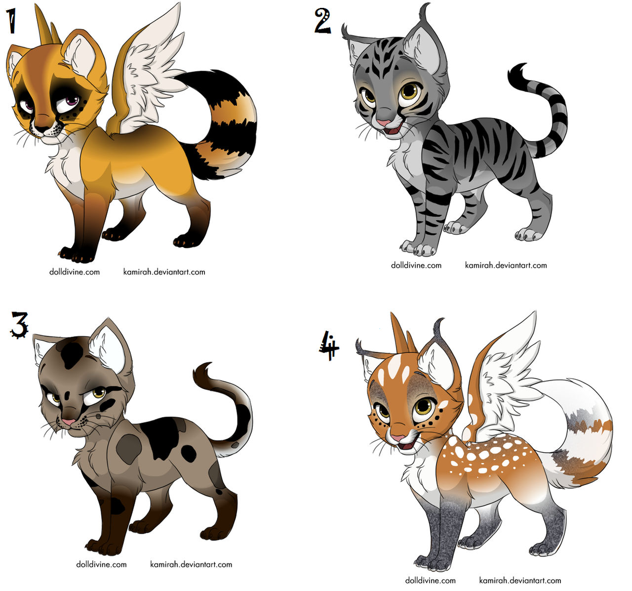 free kitten adopts .closed.