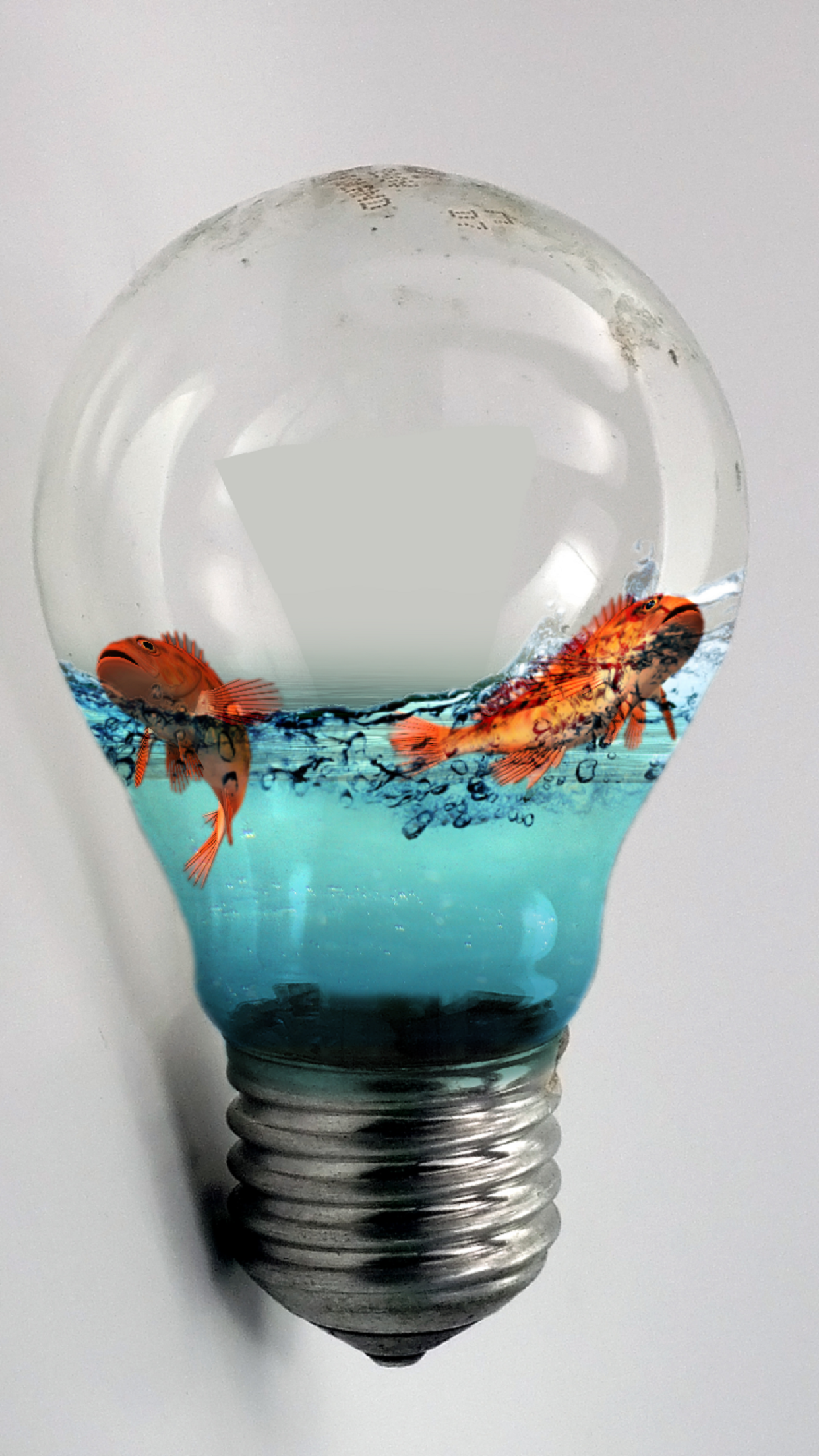 Light Bulb Fish Bowl iPhone 8 Plus Wallpaper by BWestTheFox on DeviantArt Light Bulb Fish Bowl iPhone 8 Plus Wallpaper by BWestTheFox on DeviantArt
