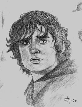 Frodo Baggins