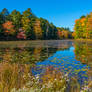 Fall Colors On Lake Superior