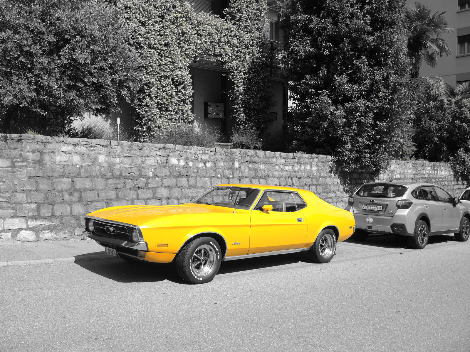 Yellow Mustang