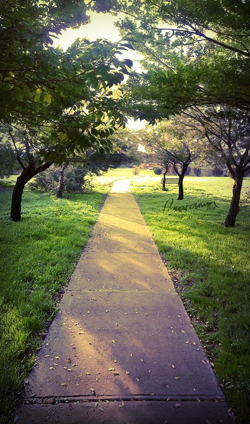 A Nostalgic Path by MediaDesign