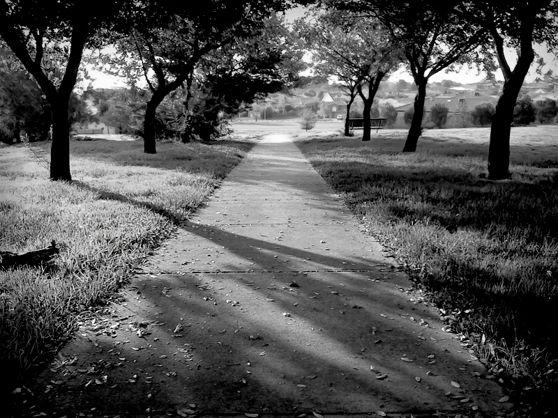 Nostalgic Path BW by MediaDesign