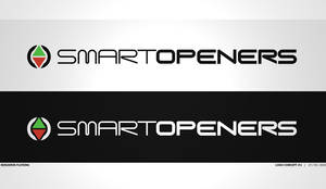 Smart Openers -2010-