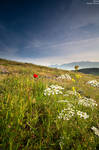 Spring by pestilence