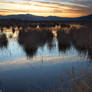 The great marsh II