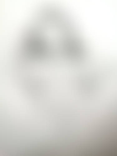 The nude portrait