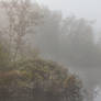 Misty morning on the lake