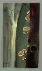 Mushroom Study