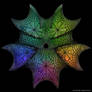 Quintic Calabi-Yau Manifold