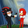 AT: Shadow x Knuckles
