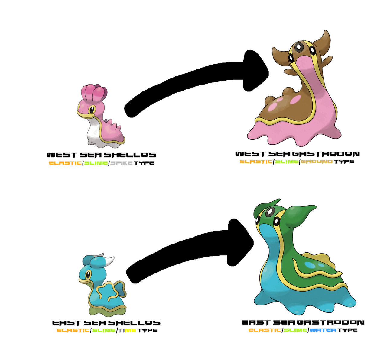 Triple-typed Shellos line by ericgl1996 on DeviantArt