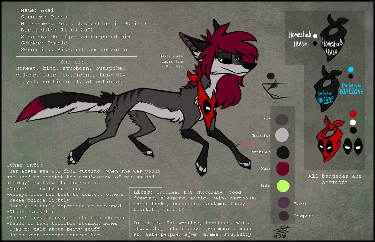 Aksi Reference Sheet