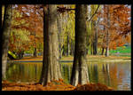 Autumn colors II by vxside