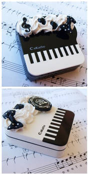 Piano contact cases