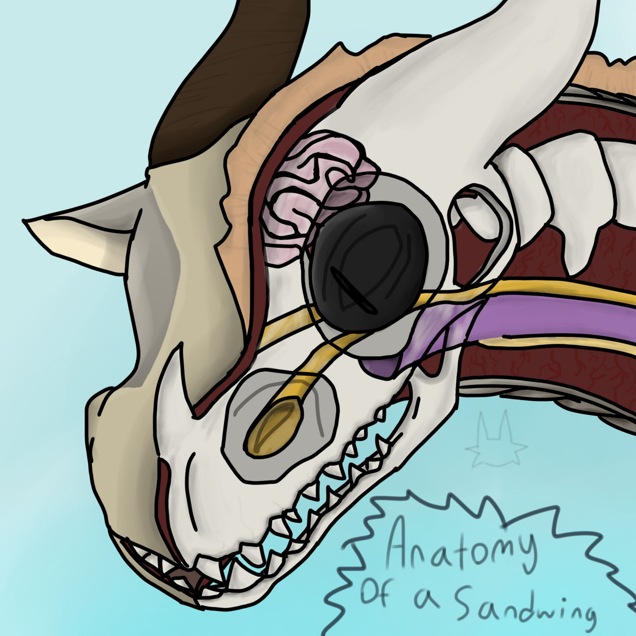Spookapi Sandwing I present to you-The anatomy of a Sandwing! by BobcatTheSandwing on ...