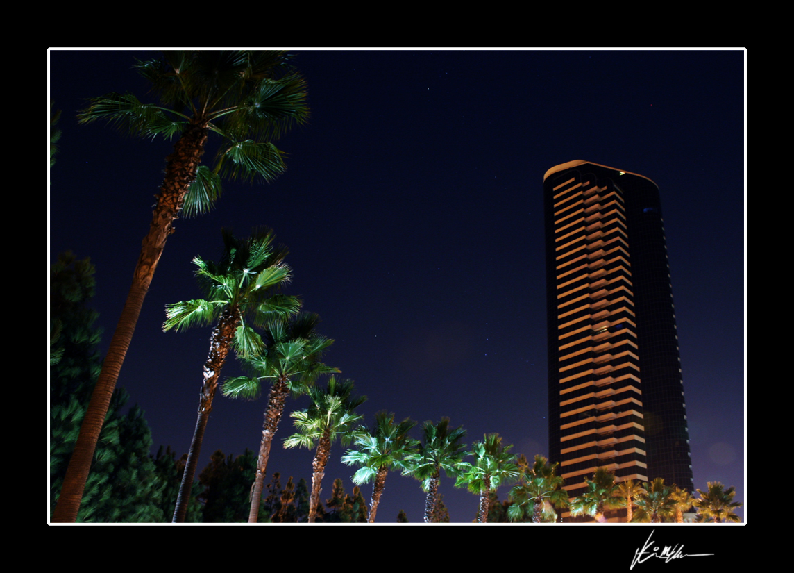 tower n'palms