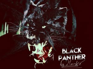 Black Panther