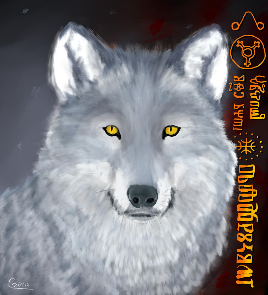 The White Wolf of Rivia by starfall-glow on DeviantArt