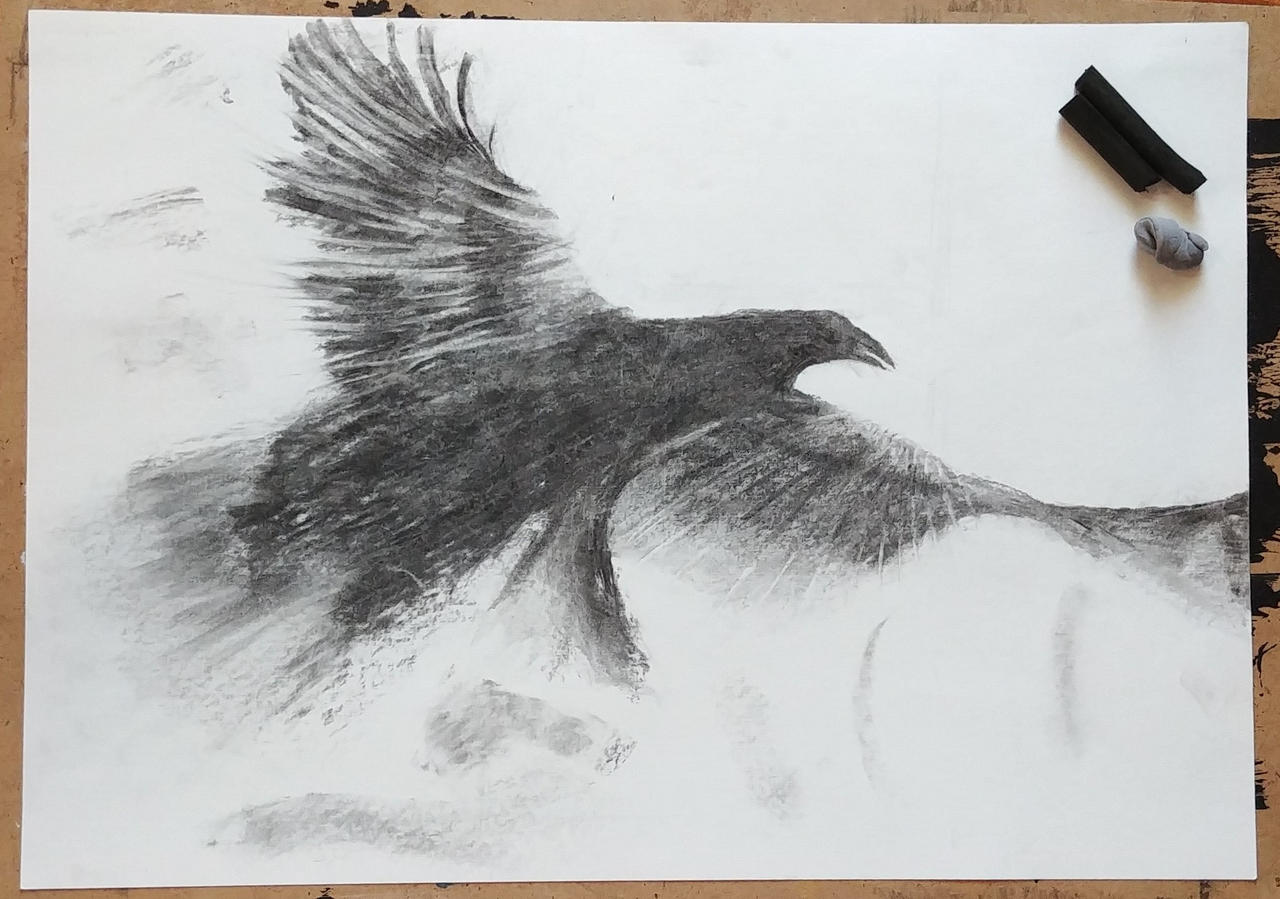 Charcoal drawing of a Crow by p3vstudio on DeviantArt