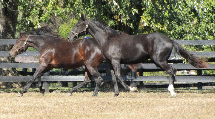 Blondi and two lips by Li-ssu on DeviantArt