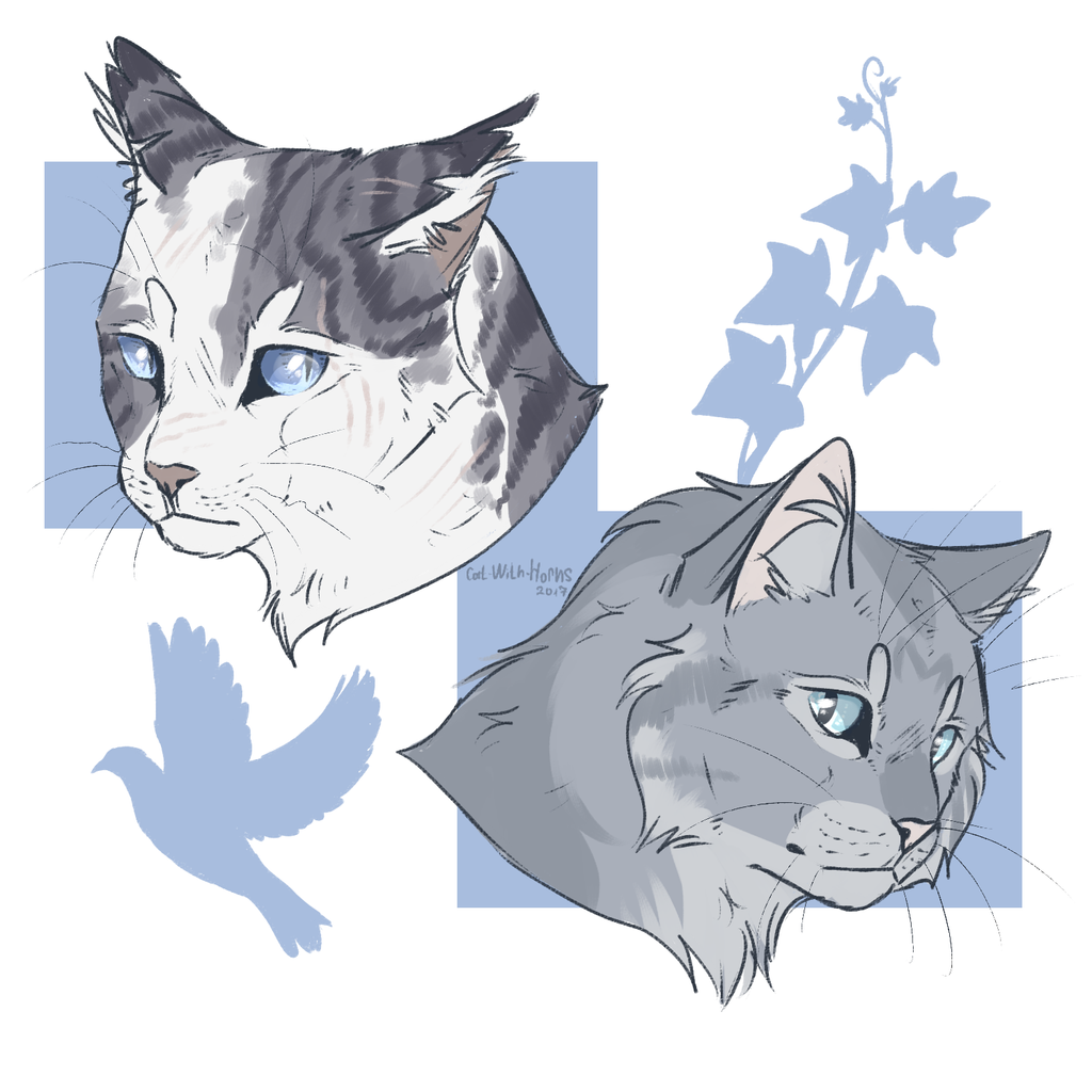 Dovewing коты Воители