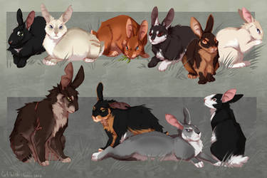 Explore the Best Rabbit Art | DeviantArt