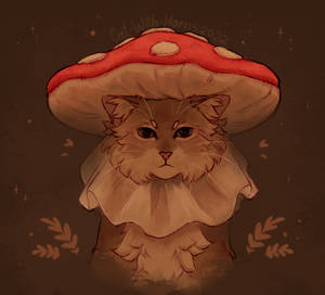 Mushroom cat