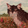 Brambleclaw