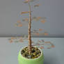 Miniature Wire Bonsai Tree  14-2 Not avaiable