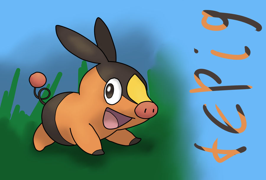 tepig by hyperster on DeviantArt