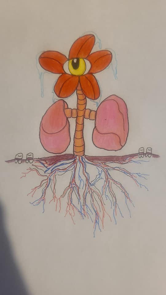 Distorted Plant Drawings Distorted plant by The1MagusWriter on DeviantArt