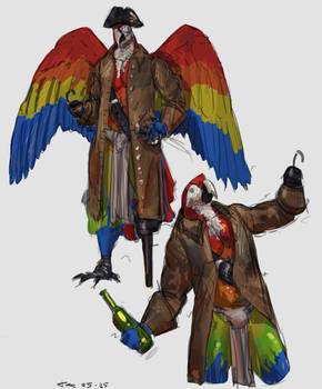 Parrot Pirate doodles