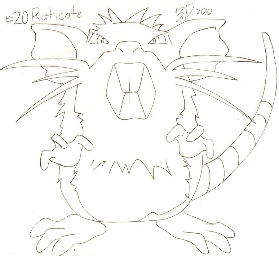 Pokemon_Raticate by bluepelt on DeviantArt
