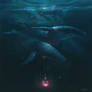 Cetacean lamp bearers: Blue