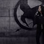 Mockingjay cosplay