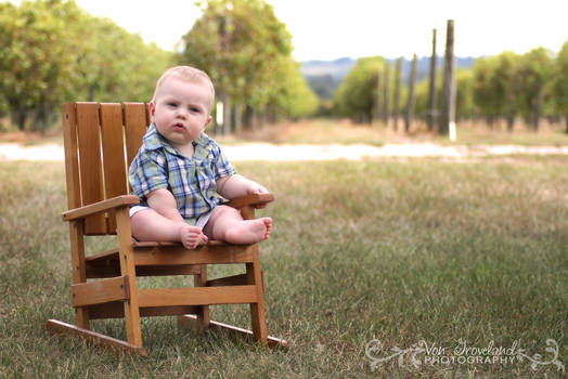 Little Boy in the Vineyard 2