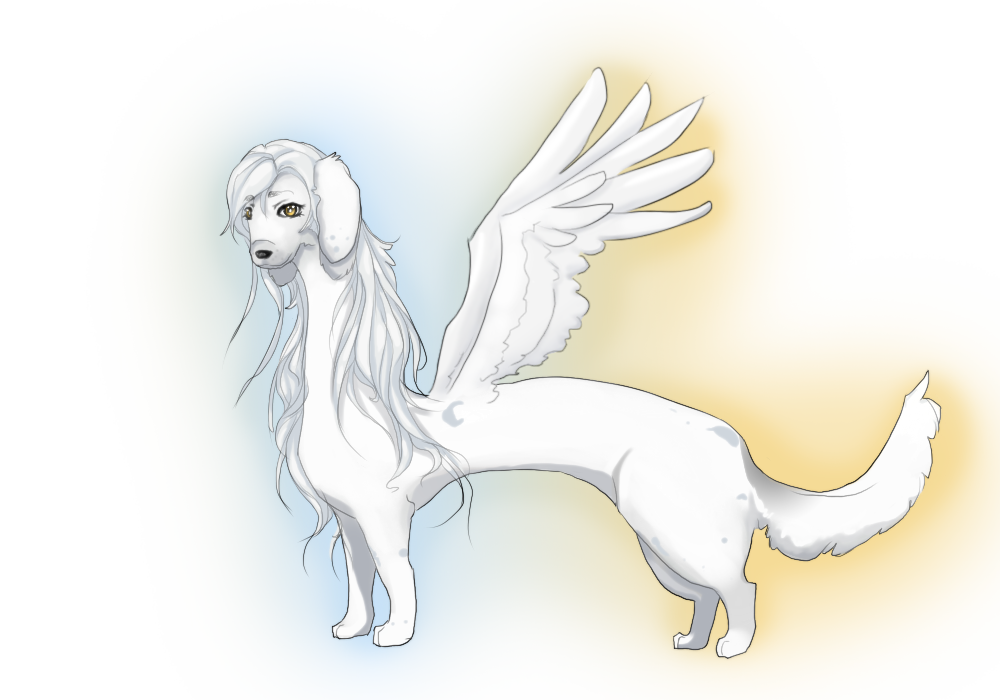 The Dog Dragon phenomena