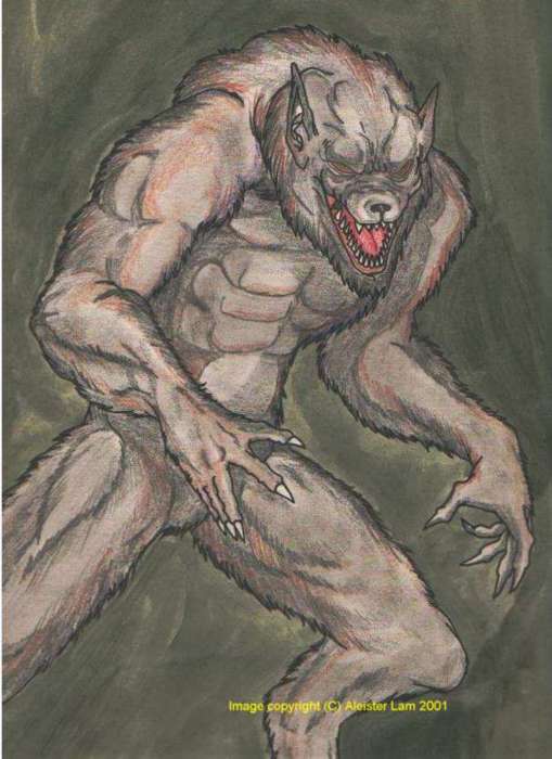 The Classic Werewolf