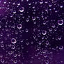 bathing in the purple rain.