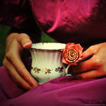 invitation. by magnesina