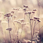 it's so easy. by magnesina