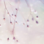 I could melt in your arms. by magnesina